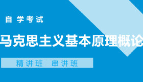 03709马克思主义基本原理概论自考课程