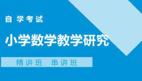 03330小学数学教学研究自考课程